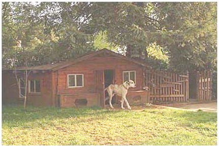 【H.H.第三世多杰羌佛工巧明】建筑造景之建筑庭园风景