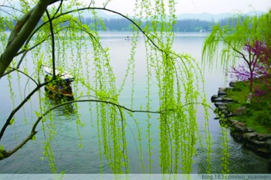 QQ浏览器截图20210206190313.jpg